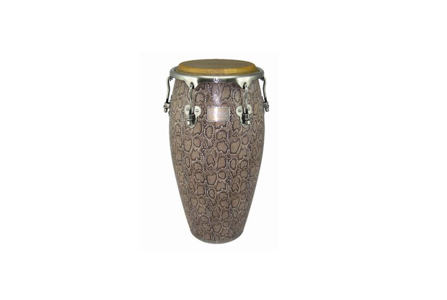 congas tycoon