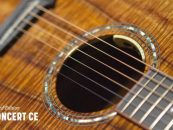 Breedlove Guitars cumple 30 años y lanza guitarras de aniversario