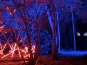 España: Eduardo Valverde usa luces SGM en Naturaleza Encendida
