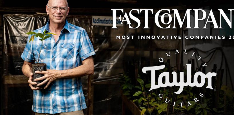 Taylor Guitars, uno de los fabricantes más innovadores del año