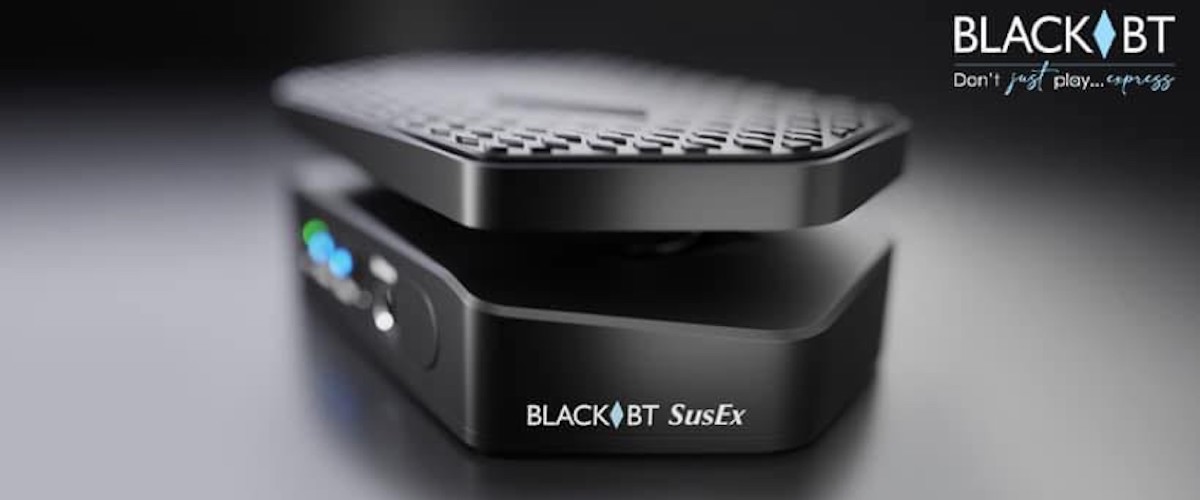 black bt susex 1200x500