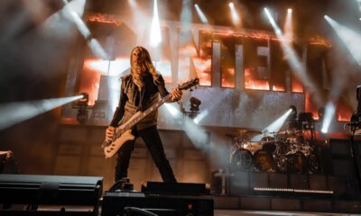 Spector Rex Brown 1200x675