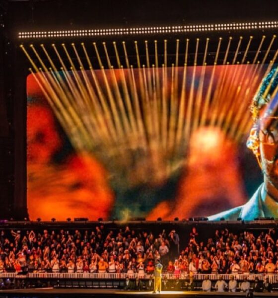 elation bad bunny 1200x675