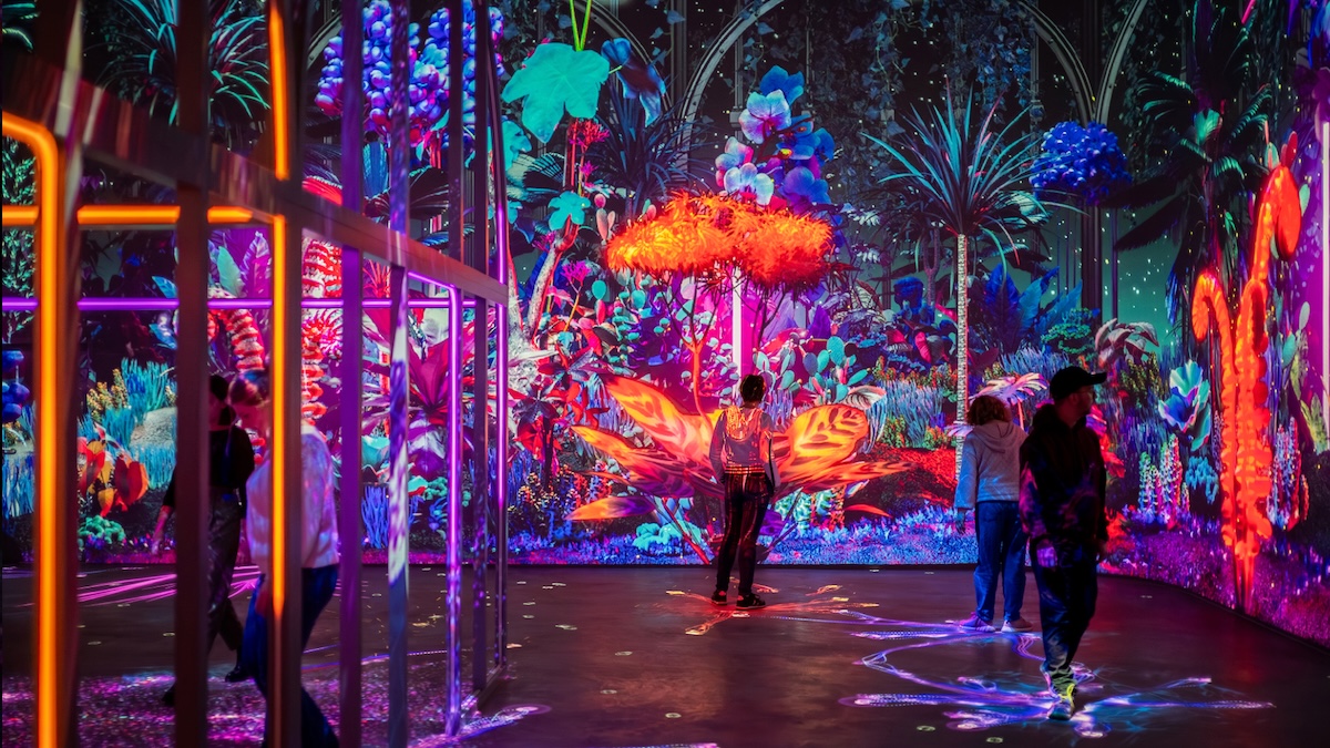 Prolights Futuroscope 1200x675